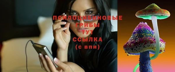 трава Алзамай
