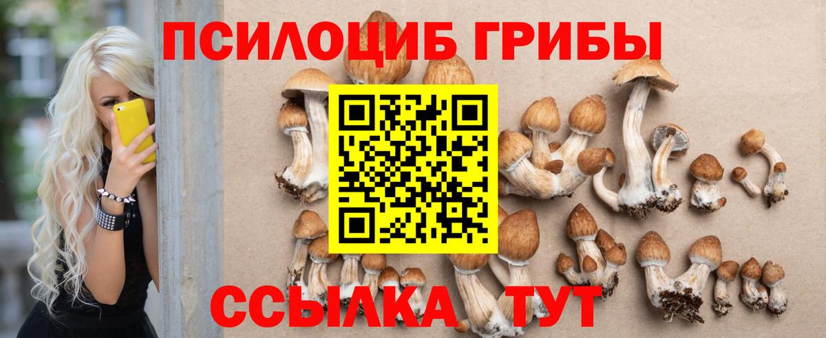 Йошкар-Ола  Псилоцибиновые грибы Psilocybe  Галлюциногенные грибы GOLDEN TEACHER  Вход с VPN 